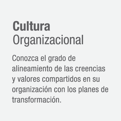 Cultura Organizacional