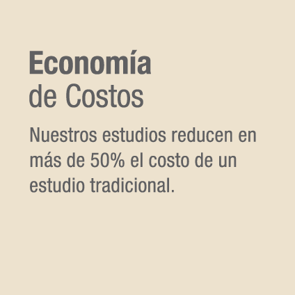 Economía de Costos